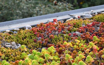 the cost of Evenjobb green roof installation