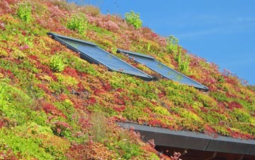 Evenjobb living roof systems